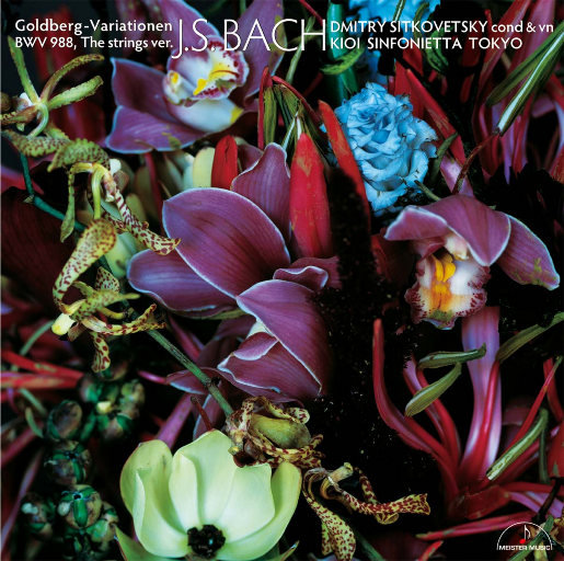 美女奶头喷奶水A片
